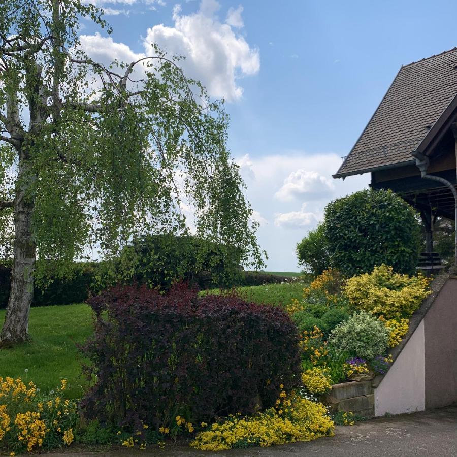 Appartement Charmant A Hochfelden 100 M² Et Parking Gratuit Gottesheim Exterior foto