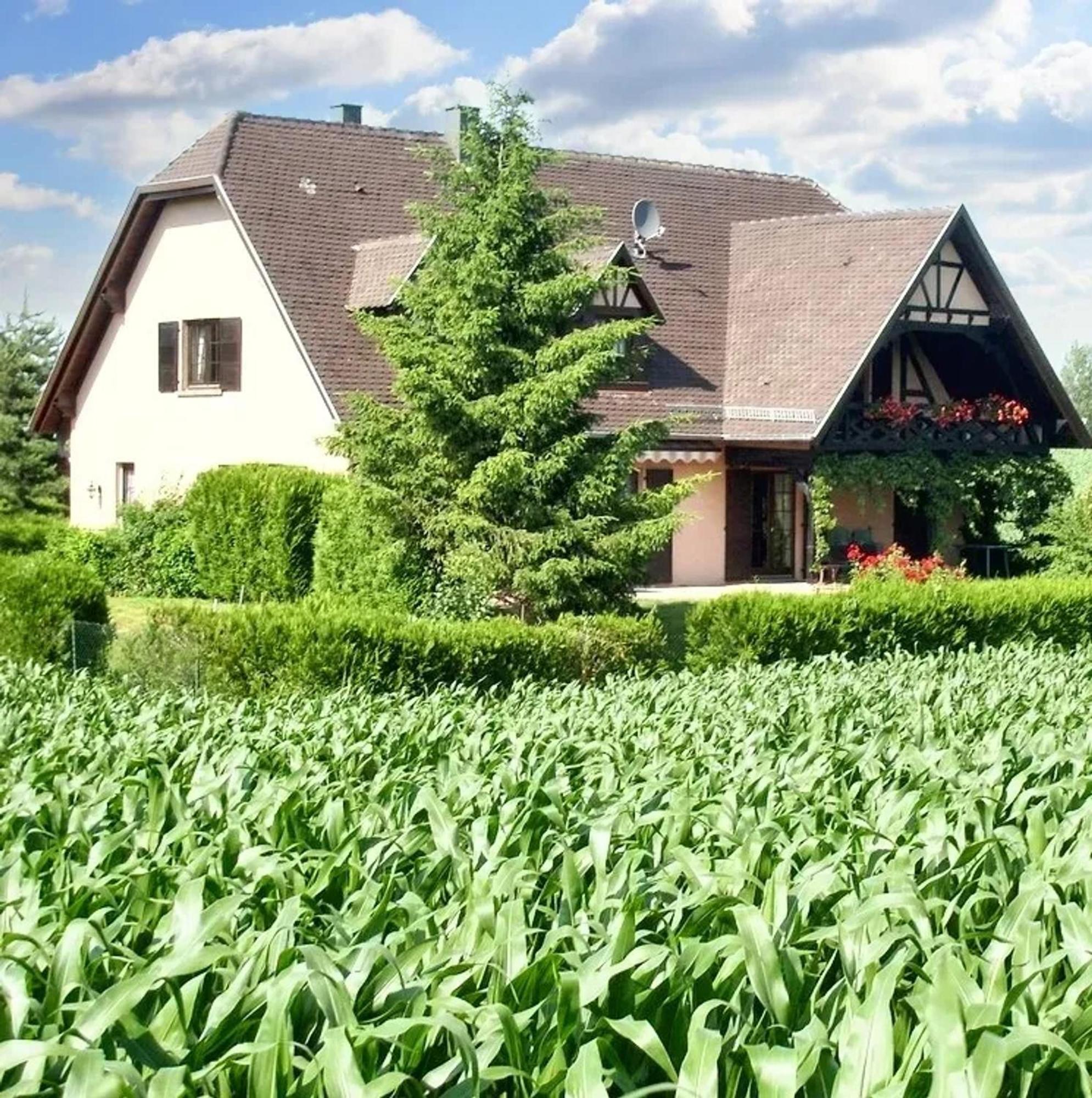 Appartement Charmant A Hochfelden 100 M² Et Parking Gratuit Gottesheim Exterior foto